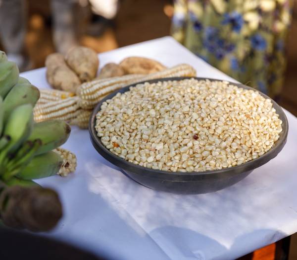 VitaMeal - hrana pentru copiii malnutriti (1 pungă = 30 portii)* - imagine 3